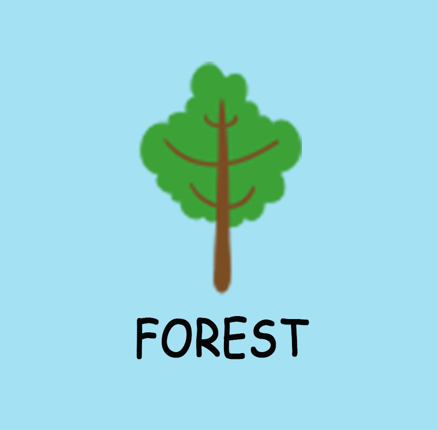 大森林forest
