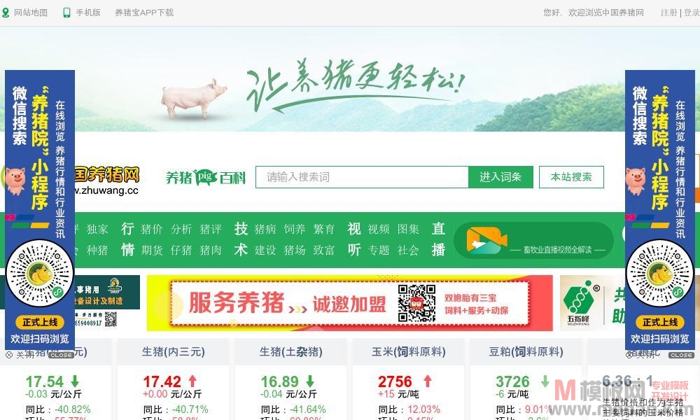 中国养猪网-中国养猪行业门户网站