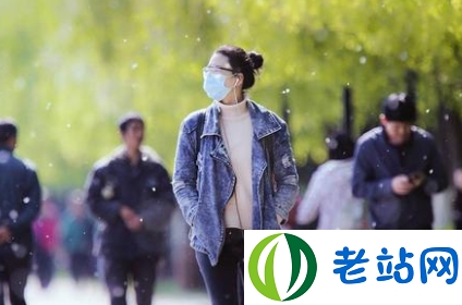 北京几月飞絮几月结束2020 一次性医用口罩可防护杨柳飞絮吗3